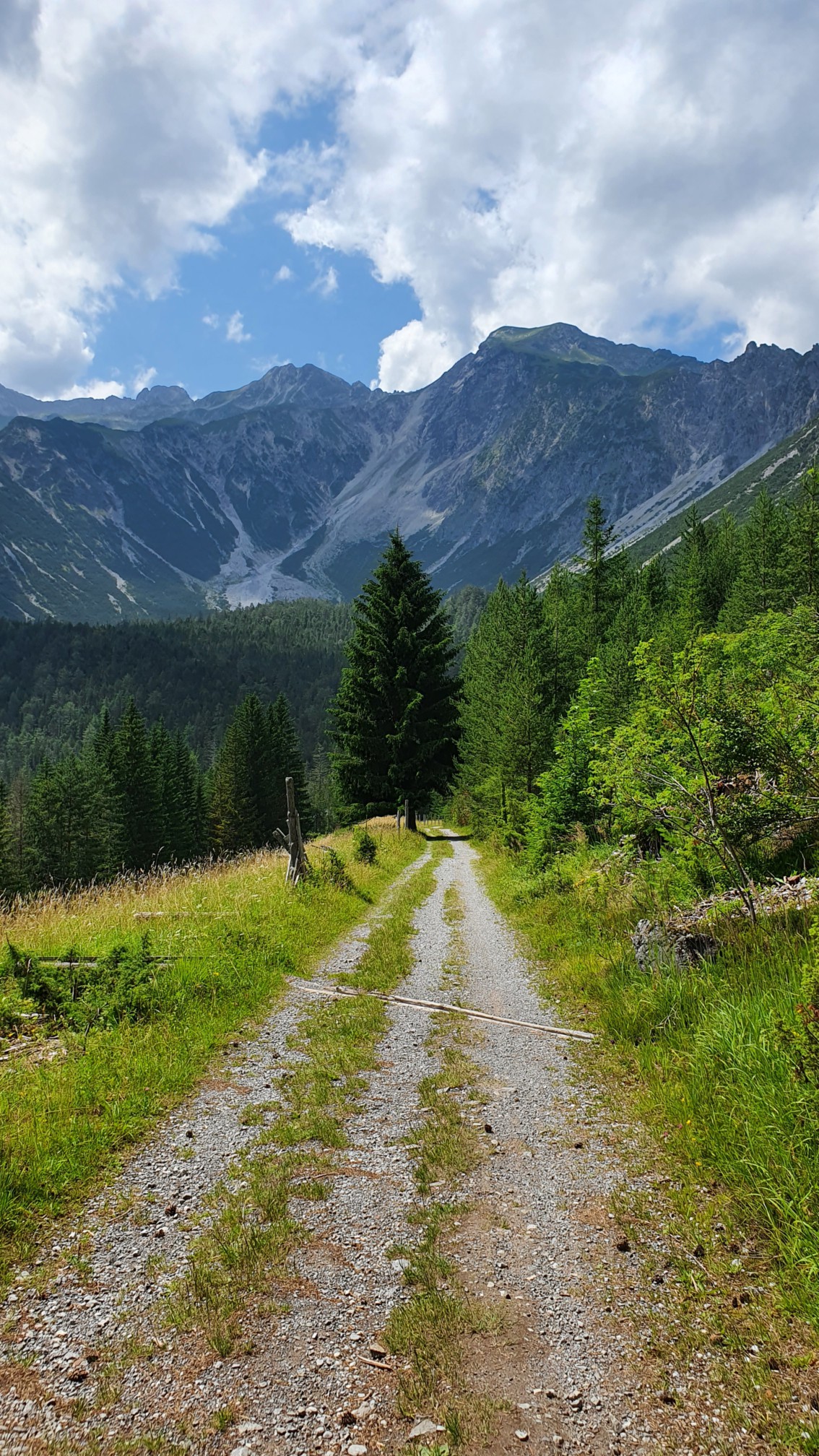 Alpen bei Nassereith rauf zum Fernpass