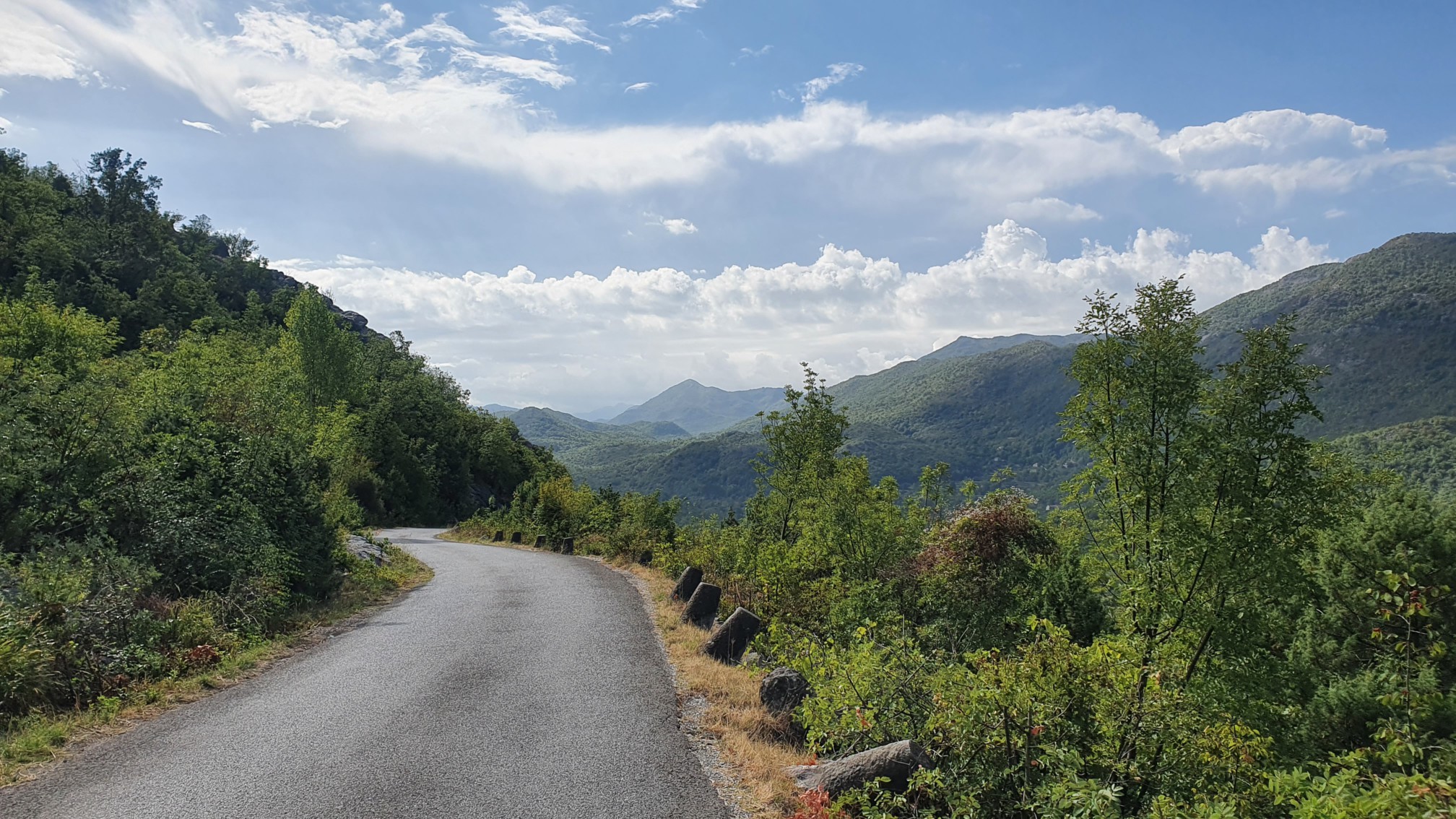 Abfahrt zwischen Cetinje und Rijeka Crnijevića